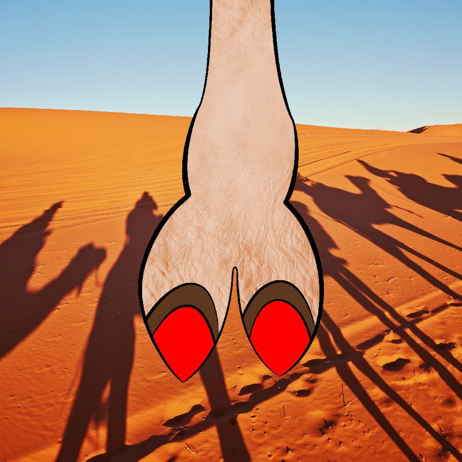 CamelToe NFT #1