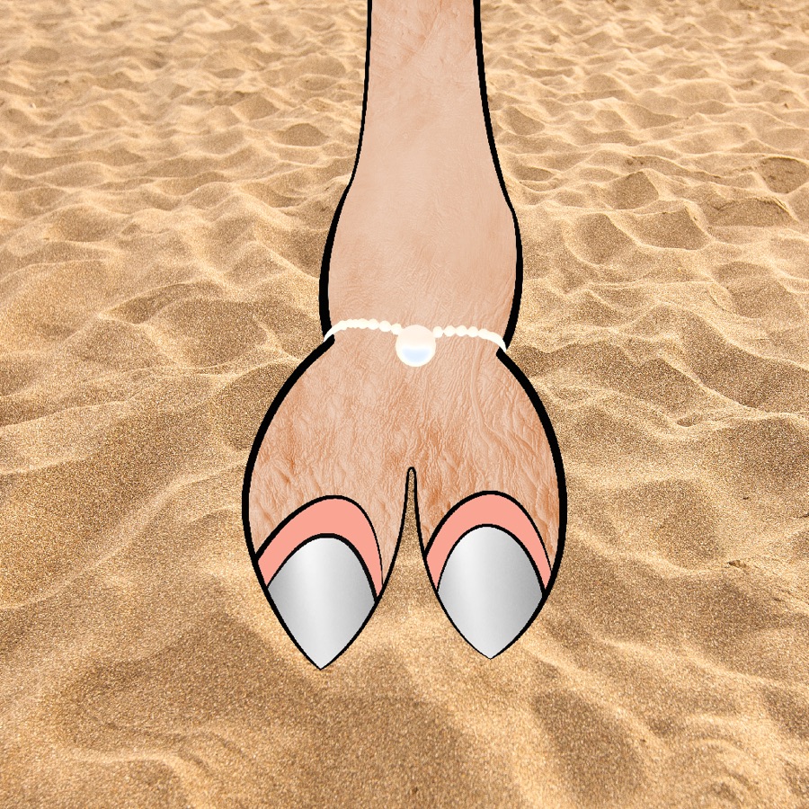 CamelToe NFT #333