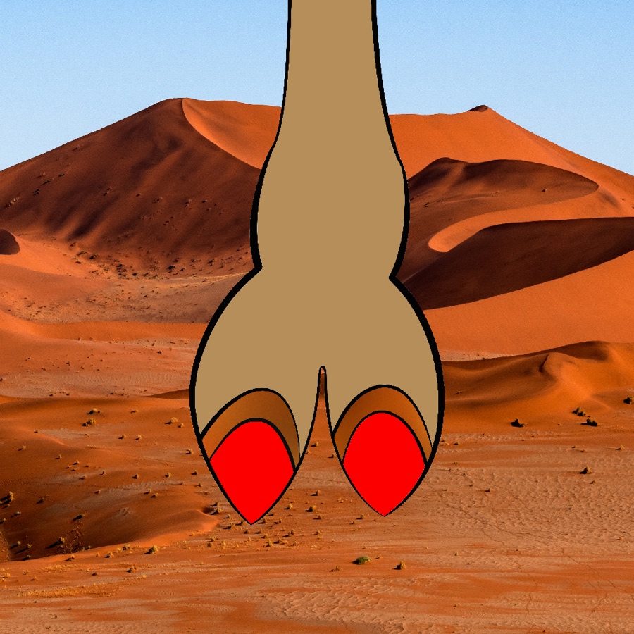 CamelToe NFT #42
