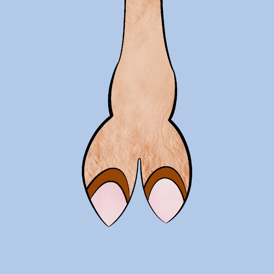 CamelToe NFT #420