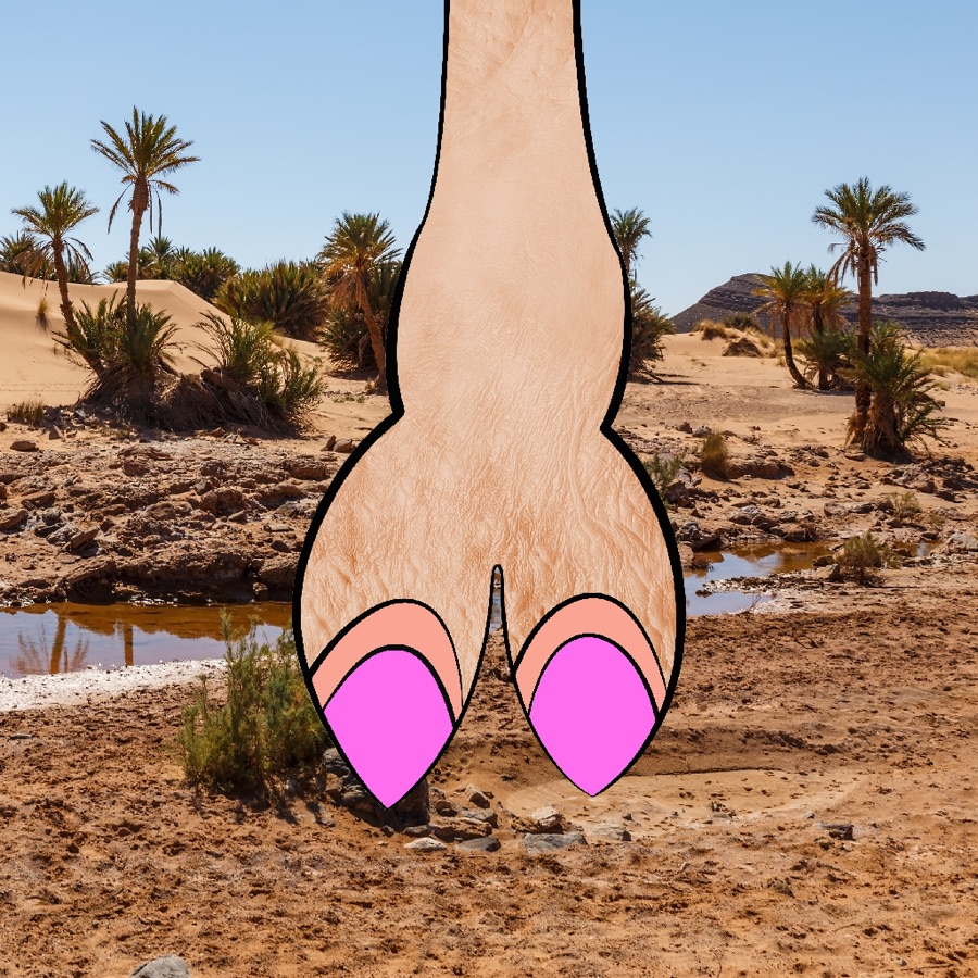 CamelToe NFT #444
