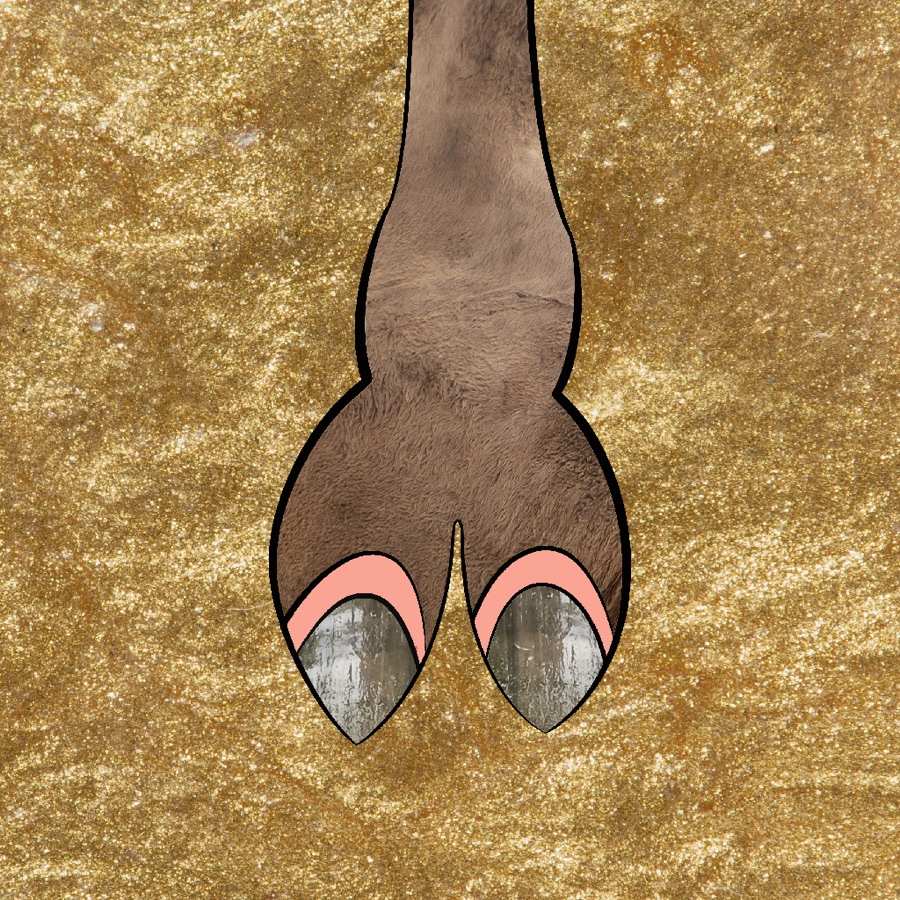 CamelToe NFT #77